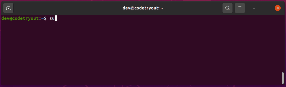 How to run a docker ubuntu image with bash shell