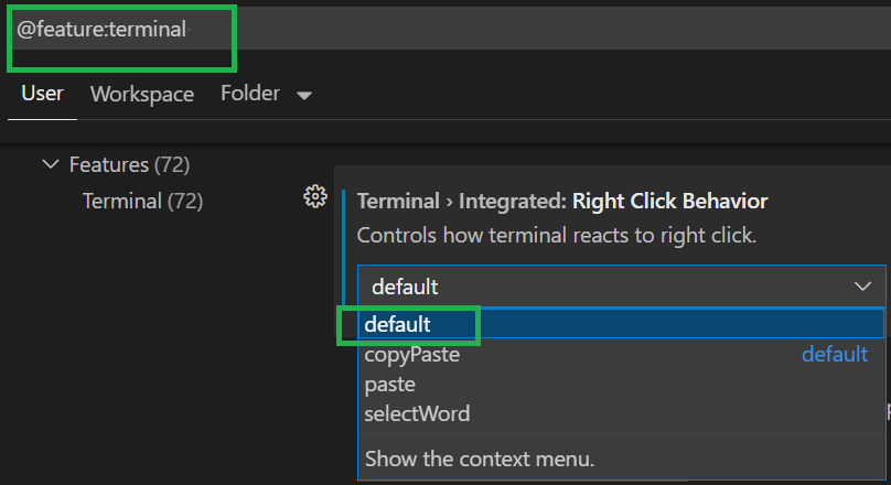 Stop Terminal In Vscode